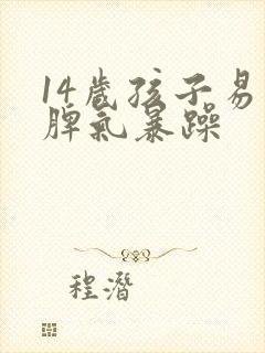 14岁孩子易怒脾气暴躁封面