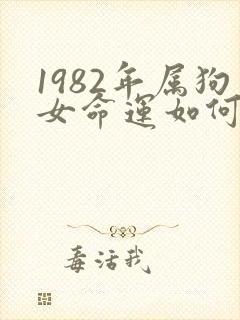 1982年属狗女命运如何