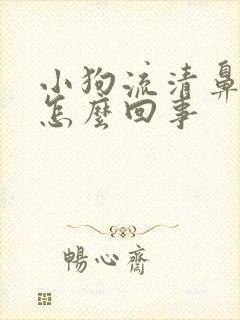 小狗流清鼻涕是怎么回事