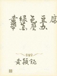 黄绿色豆腐渣白带怎么办