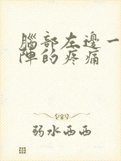 脑部左边一阵一阵的疼痛