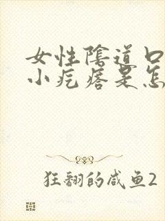 女性阴道口内长小疙瘩是怎么回事