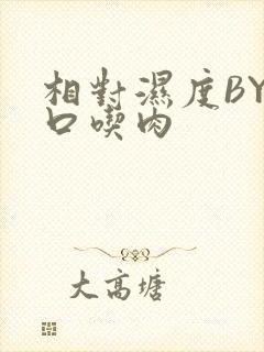 相对湿度BY大口吃肉