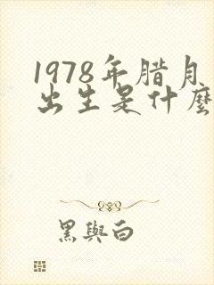 1978年腊月出生是什么命封面
