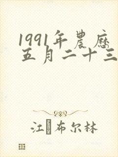 1991年农历五月二十三的命运