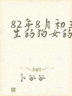 82年8月初三生的狗女的命运