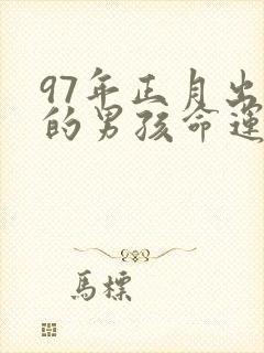 97年正月出生的男孩命运