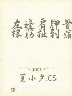 左边肩胛骨有一根筋扯到痛连着脖子