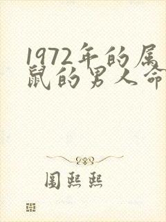 1972年的属鼠的男人命运如何