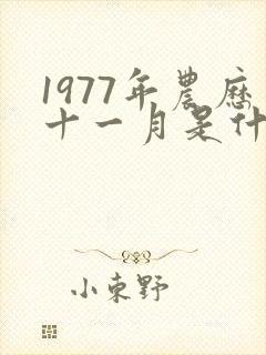 1977年农历十一月是什么命封面