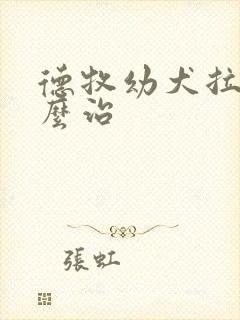 德牧幼犬拉稀怎么治