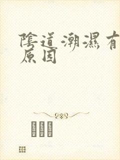 阴道潮湿有异味原因