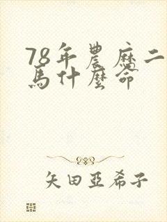 78年农历二月马什么命