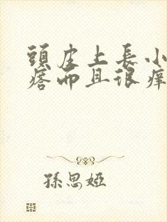 头皮上长小红疙瘩而且很痒怎么办封面