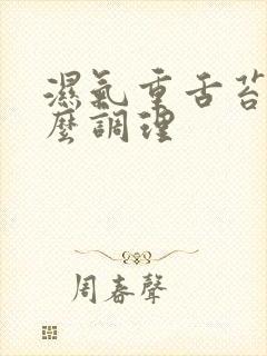 湿气重舌苔白怎么调理