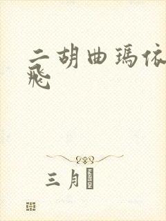 二胡曲玛依拉宋飞