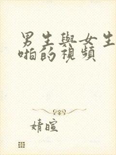 男生与女生啪啪啪的视频