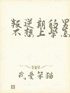 叛逆期的男孩子不想上学怎么办封面