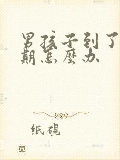 男孩子到了叛逆期怎么办封面