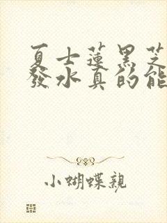 夏士莲黑芝麻洗发水真的能黑发吗封面