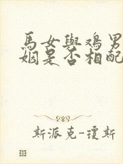 马女与鸡男的婚姻是否相配