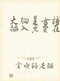 大胸美女诱惑被插入免费在线