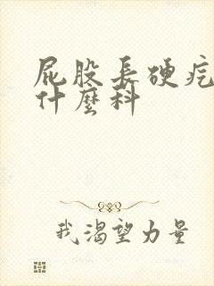 屁股长硬疙瘩挂什么科