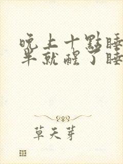 晚上十点睡两点半就醒了睡不着封面