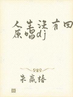 人生没有回头路原唱dj