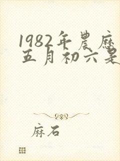 1982年农历五月初六是什么命