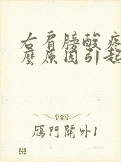 右肩膀酸疼是什么原因引起的封面