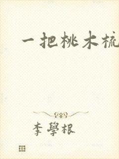 一把桃木梳封面