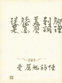 从膝盖到脚发凉是怎么调理封面