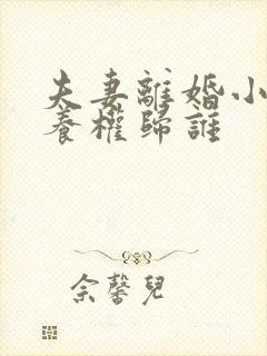 夫妻离婚小孩抚养权归谁