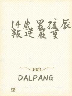 14岁男孩厌学叛逆严重