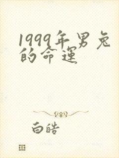 1999年男兔的命运