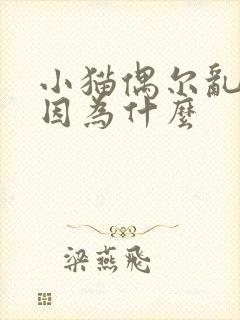小猫偶尔乱尿是因为什么封面