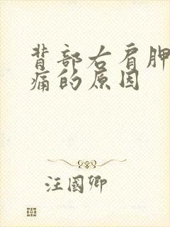 背部右肩胛骨疼痛的原因封面