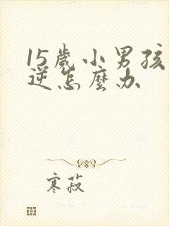 15岁小男孩叛逆怎么办