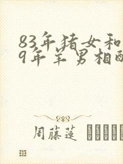 83年猪女和79年羊男相配婚姻如何封面
