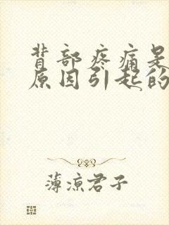 背部疼痛是什么原因引起的上背