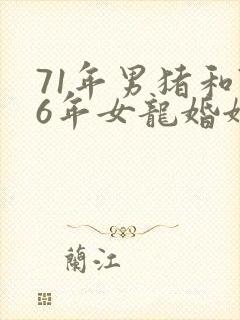 71年男猪和76年女龙婚姻封面