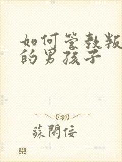 如何管教叛逆期的男孩子封面
