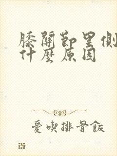 膝关节里侧疼是什么原因