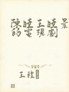 陈晓王晓晨主演的电视剧