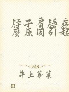 脖子肩膀疼痛什么原因引起的