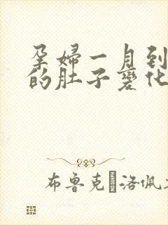 孕妇一月到十月的肚子变化