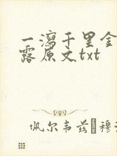 一泻千里金银花露原文txt