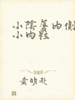 小阴唇内侧长有小肉粒封面