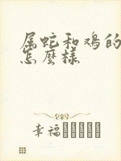 属蛇和鸡的婚姻怎么样